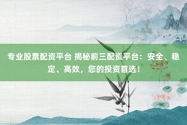 专业股票配资平台 揭秘前三配资平台：安全、稳定、高效，您的投资首选！