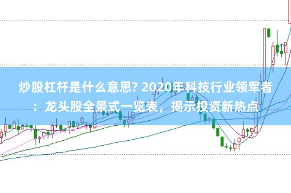 炒股杠杆是什么意思? 2020年科技行业领军者：龙头股全景式一览表，揭示投资新热点