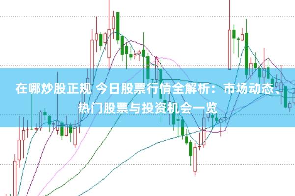 在哪炒股正规 今日股票行情全解析：市场动态、热门股票与投资机会一览