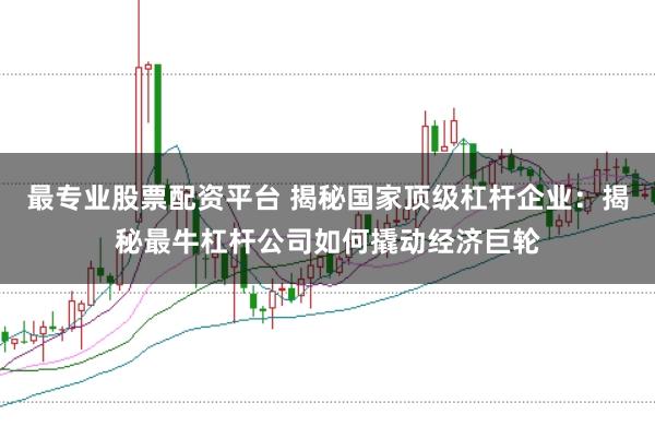 最专业股票配资平台 揭秘国家顶级杠杆企业：揭秘最牛杠杆公司如何撬动经济巨轮