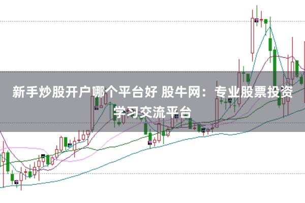新手炒股开户哪个平台好 股牛网:专业股票投资学习交流平台