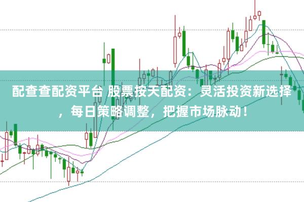 配查查配资平台 股票按天配资：灵活投资新选择，每日策略调整，把握市场脉动！