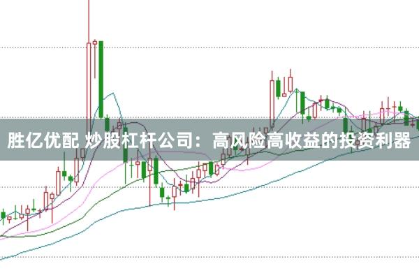 胜亿优配 炒股杠杆公司：高风险高收益的投资利器