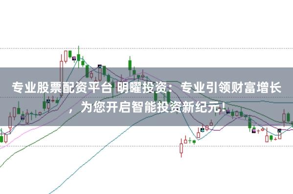 专业股票配资平台 明曜投资：专业引领财富增长，为您开启智能投资新纪元！