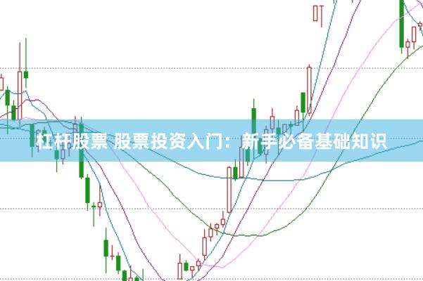 杠杆股票 股票投资入门:新手必备基础知识