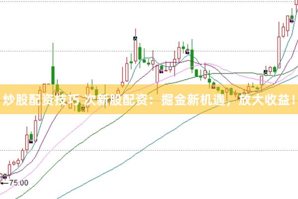 炒股配资技巧 次新股配资:掘金新机遇,放大收益!