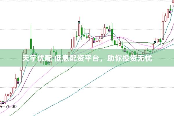 天宇优配 低息配资平台，助你投资无忧