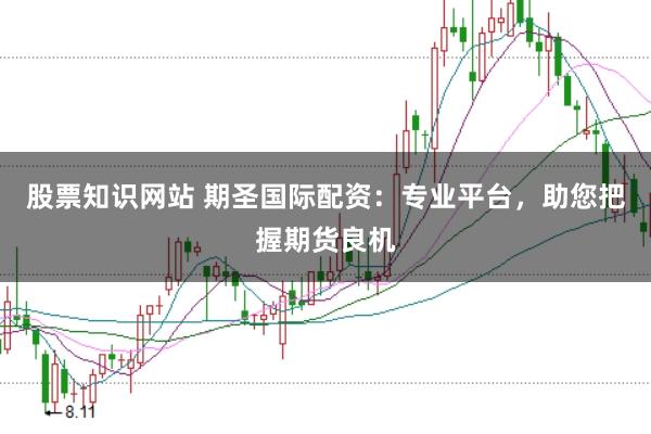 股票知识网站 期圣国际配资：专业平台，助您把握期货良机