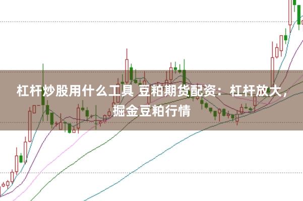 杠杆炒股用什么工具 豆粕期货配资：杠杆放大，掘金豆粕行情