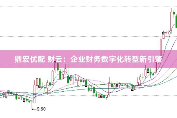 鼎宏优配 财云:企业财务数字化转型新引擎