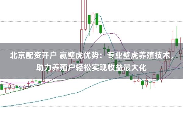 北京配资开户 赢壁虎优势：专业壁虎养殖技术，助力养殖户轻松实现收益最大化