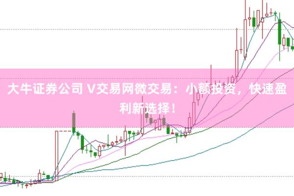 大牛证券公司 V交易网微交易：小额投资，快速盈利新选择！