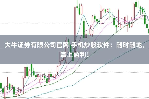 大牛证券有限公司官网 手机炒股软件：随时随地，掌上盈利！