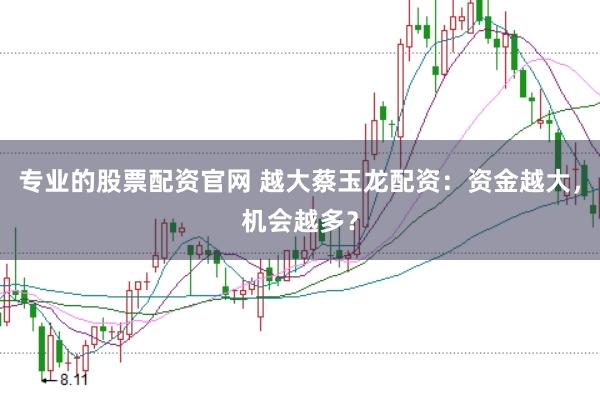 专业的股票配资官网 越大蔡玉龙配资：资金越大，机会越多？