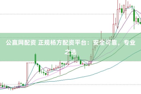 公赢网配资 正规杨方配资平台：安全可靠，专业之选