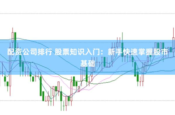 配资公司排行 股票知识入门:新手快速掌握股市基础