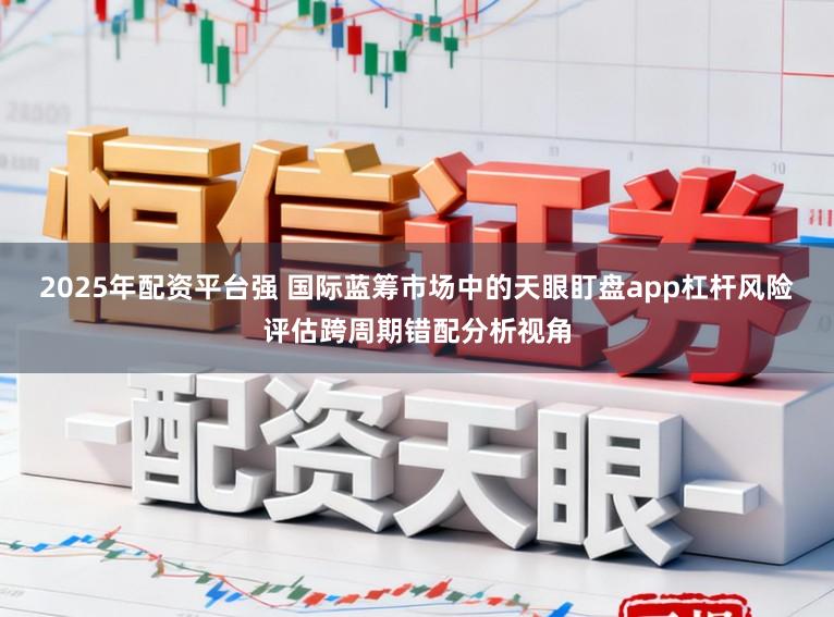 2025年配资平台强 国际蓝筹市场中的天眼盯盘app杠杆风险评估跨周期错配分析视角