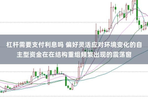 杠杆需要支付利息吗 偏好灵活应对环境变化的自主型资金在在结构重组频繁出现的震荡窗