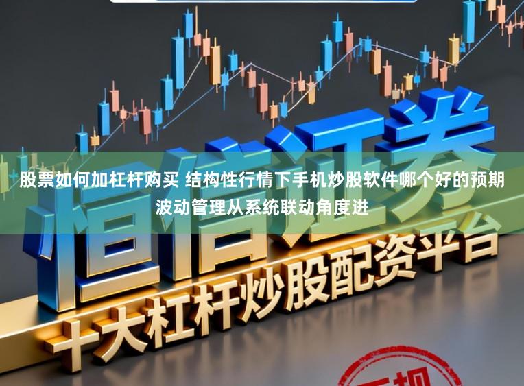 股票如何加杠杆购买 结构性行情下手机炒股软件哪个好的预期波动管理从系统联动角度进