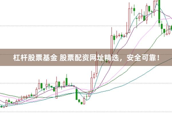 杠杆股票基金 股票配资网址精选,安全可靠!